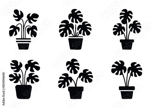 Collection of simple black silhouette icons featuring potted monstera plants with distinctive leaf shapes for various graphic applications and decor.