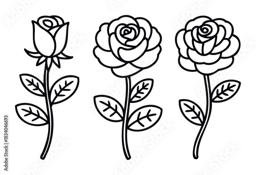 Three stylized roses in outline format presented with stems and leaves, suitable for graphic resources and decorative applications.