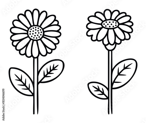 Simple outline drawings of two daisies with leaves and stems, perfect for floral graphic design projects and naturethemed concepts.