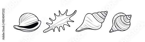 Collection of stylized seashells including conch and spiral forms, perfect for coastal decor and oceanthemed projects, offering a natural and organic aesthetic.
