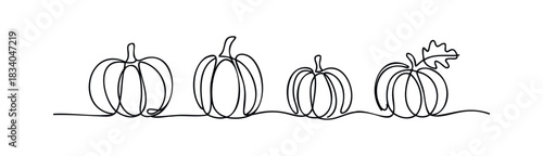 Continuous line drawing of four pumpkins in varying sizes with a leaf, perfect for fall harvest or Thanksgiving themes and seasonal celebrations.