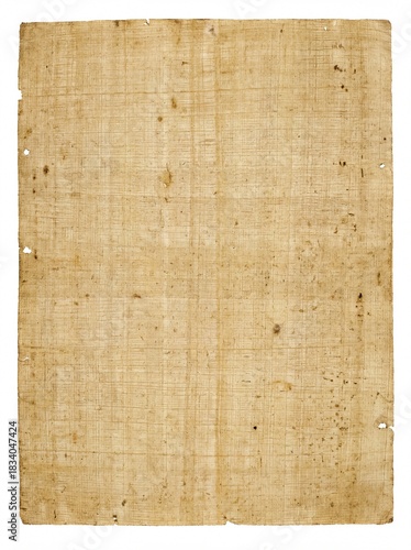 Ancient Egyptian Papyrus Sheet 2.jpg
Description: High quality illustration of Ancient Egyptian Papyrus Sheet 2. Perfect for historical, educational, and creative projects.
