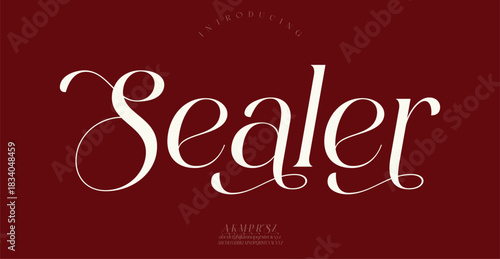 Sealer Sports minimal tech font letter set. Luxury vector typeface for company.