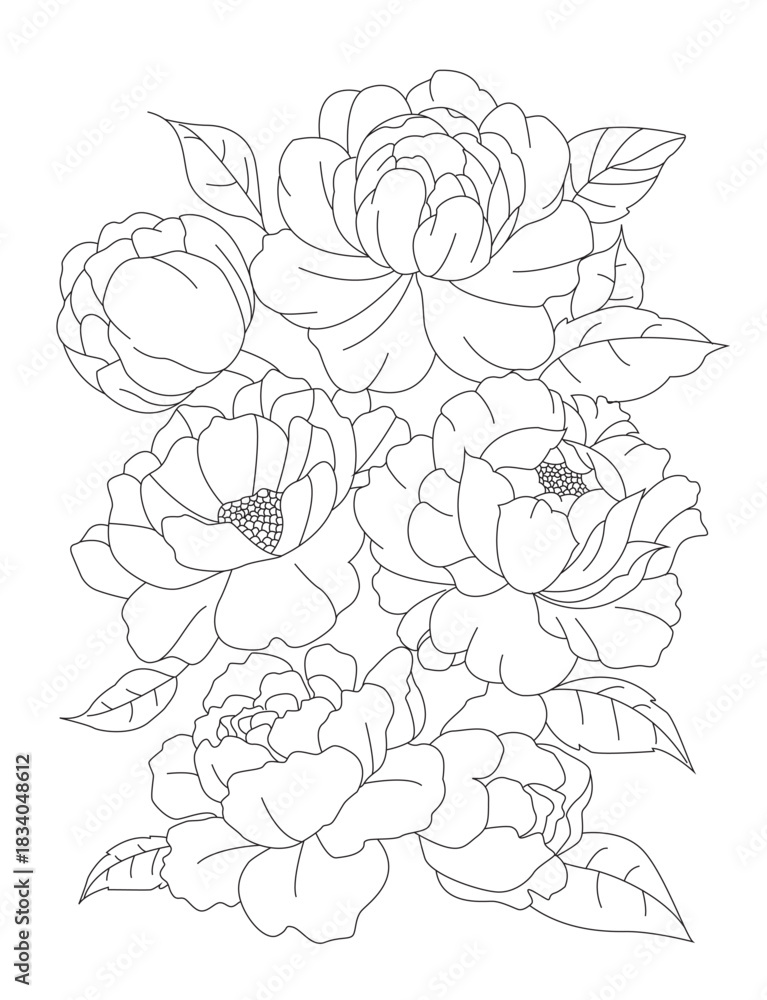 Naklejka premium Peony Flower Line Art Drawing