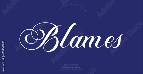 Blames Sports minimal tech font letter set. Luxury vector typeface for company.