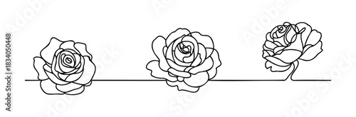 Three minimalist line art roses arranged horizontally across the frame creating a decorative border or motif for floral and romantic themes.