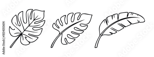 Three distinct tropical leaf outlines presented as simple line drawings, perfect for summer themes, invitations, and nature inspired projects