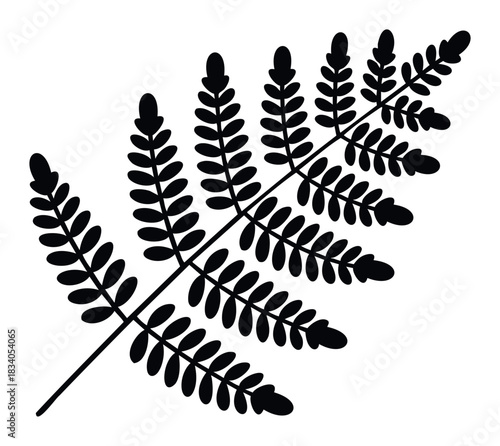 Black silhouette of a delicate fern frond with multiple leaves, perfect for naturethemed graphics and organic branding projects