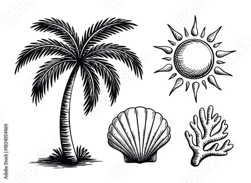 Tropical summer collection featuring a detailed palm tree, radiant sun, seashell, and coral branch, perfect for vacation and beach themed projects.