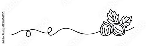 Hand drawn line graphic of hazelnuts with leaves and decorative vine flourishes suitable for food branding and organic product design