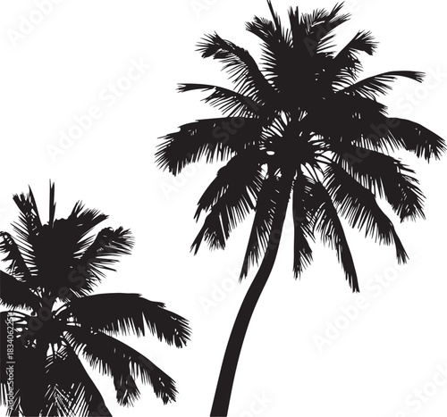 Island Vibes Graceful Coconut Palm Silhouette 