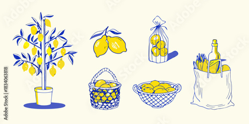Hand drawn lemon still life with tree and baskets