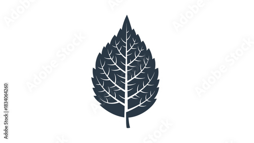 Detailed illustration of a dark leaf with intricate veins and edges.
