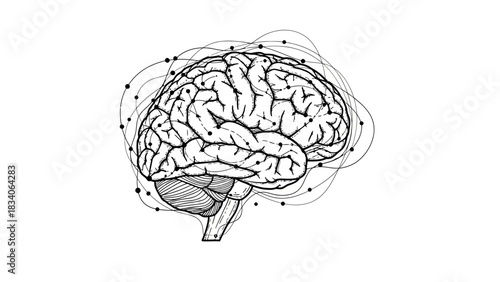 Detailed Illustration of Human Brain with Neural Network Connections.