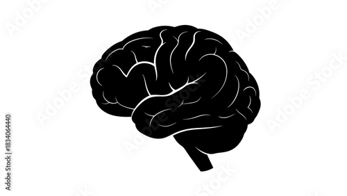 Human brain silhouette representing thought process and cognitive functions.