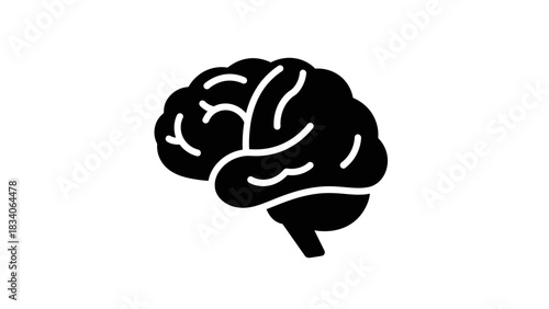 Human brain silhouette illustration representing thought process and cognitive functions.