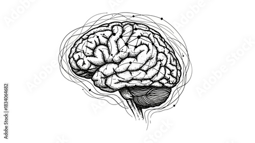 Detailed illustration of the human brain with intricate details and surrounding abstract elements.