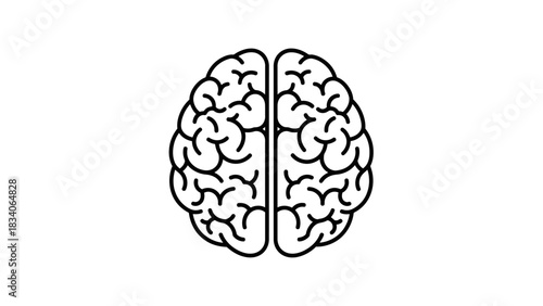 Stylized Outline of Human Brain Top View.