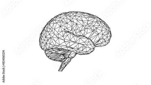 Wireframe Brain Illustration Representing Artificial Intelligence and Human Cognition.