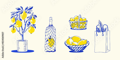 Hand drawn lemon still life with tree baskets and bottle