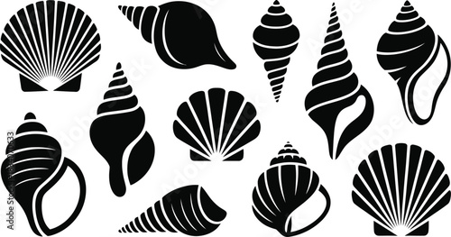 Sea shell silhouettes vector set, black seashell icons collection, marine beach decorative shapes, ocean conch shell graphic illustration, isolated