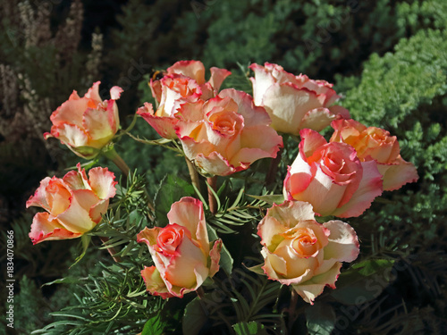 Ein Strauß mit neun Rosen