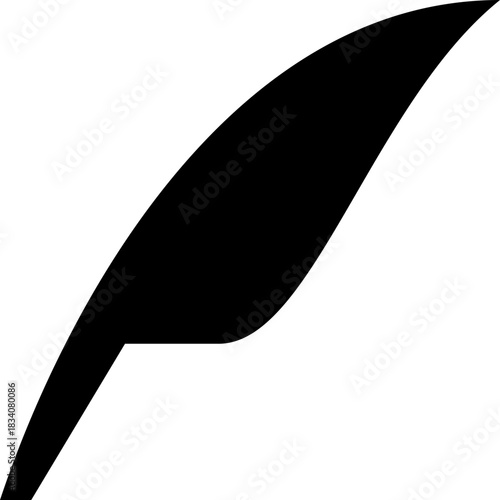 black and white feather