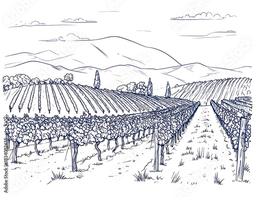 Hand-drawn vineyard landscape with hills and clouds in the background scene