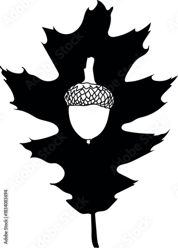 Black silhouette of Parts of northern red oak (Quercus rubra): acorn and leaf isolated on white background	