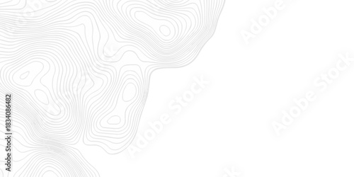 Minimal white line geometric grid outline curve counter map and wavy topography relief discovery area white, black line texture background.	
