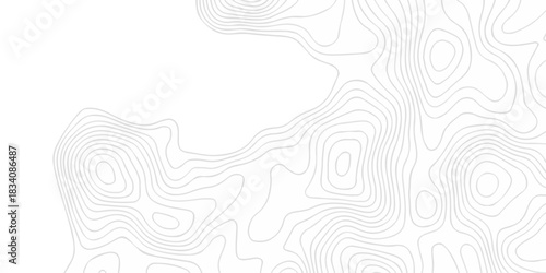 Minimal area white line geometric grid topo map outline. paper curve counter map and wavy topography. relief discovery area white, black line texture background.	