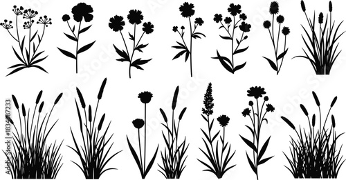 Set of Wild Meadow Grasses and Botanical Flowers Silhouettes, Vector Illustration of Natural Plant Elements, Black and White Floral Icons for Nature and Ecology Design Graphics