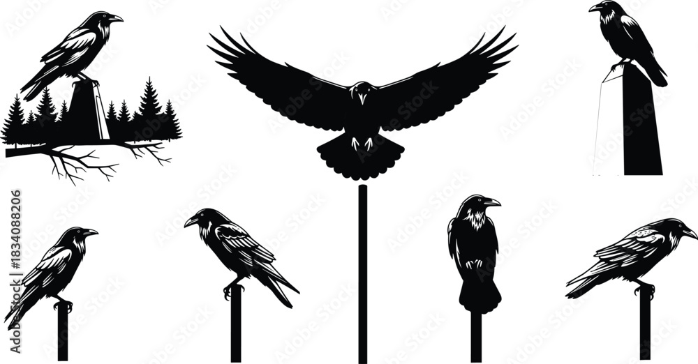 Obraz premium Collection of black silhouette ravens and eagle in flight on white background crow