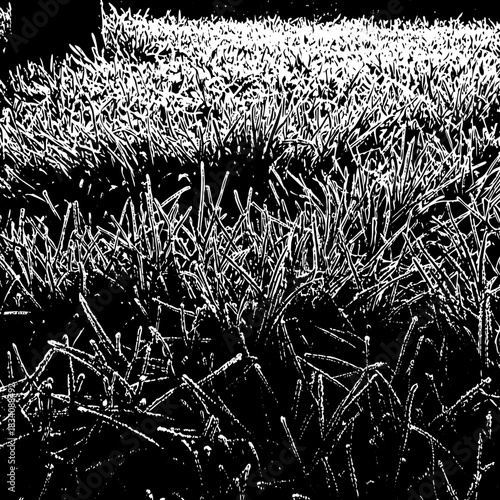 Monochrome Grass Field A Study in Texture and Contrast.