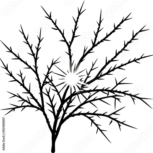 Silhouette of a Thorny Bush with a Central Burst of Light.