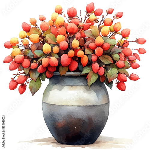 Dutchmans Breeches In A Vase, watercolor illustration vector, isolated on a white background.