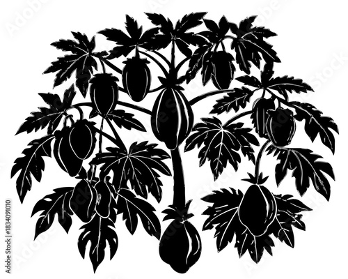 Black silhouette of a papaya tree with ripe fruit and large leaves