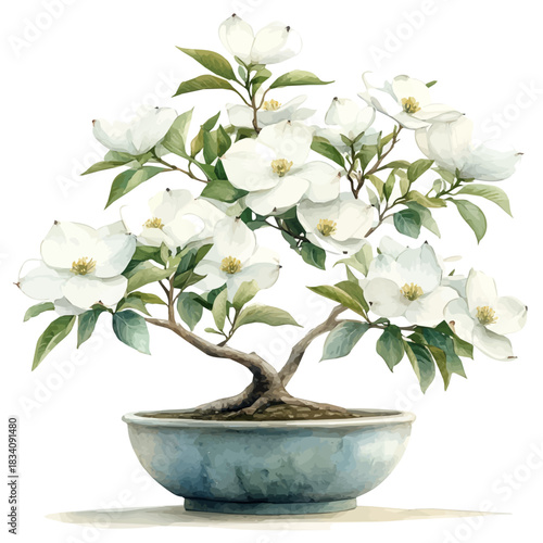 Dogwood Bonsai, watercolor illustration vector, isolated on a white background.