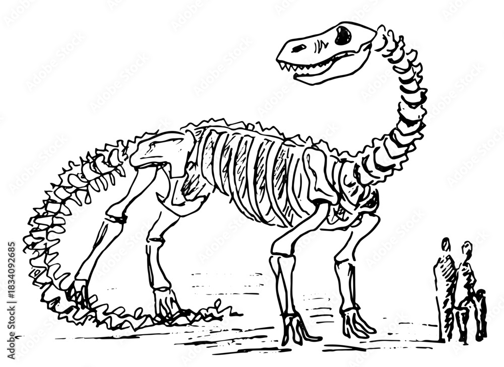 Obraz premium A dinosaur skeleton and people standing nearby. Black sketch, hand drawn vector.