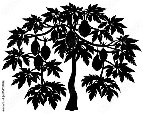 Black silhouette of a papaya tree with ripe fruits and large leaves