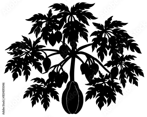 Black silhouette of a papaya tree with fruits and leaves