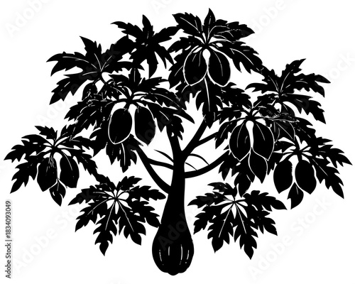 Black silhouette of a papaya tree with ripe fruit and large leaves