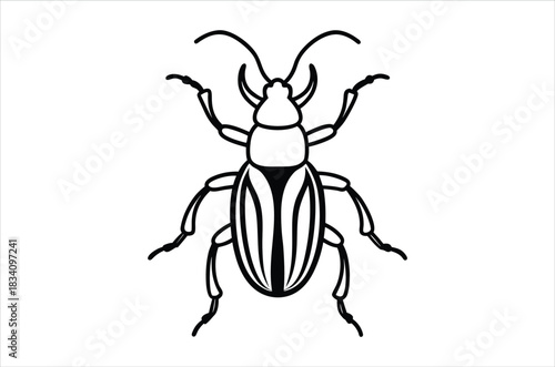 insect vector, icon vector illustration, insect silhouette of a insect isolated on a white background, eps, png, svg,  vector,
