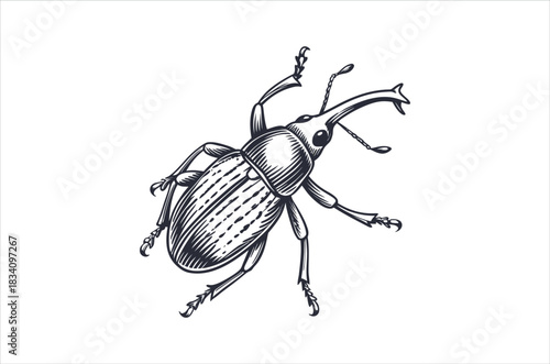 insect vector, icon vector illustration, insect silhouette of a insect isolated on a white background, eps, png, svg,  vector,