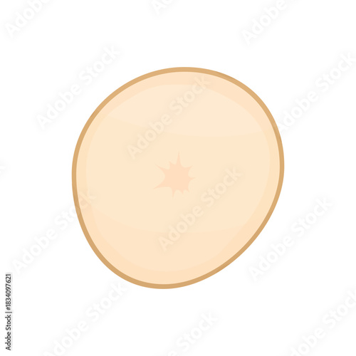 A slice of potato on a white background. Culinary ingredients. Cooking various dishes.