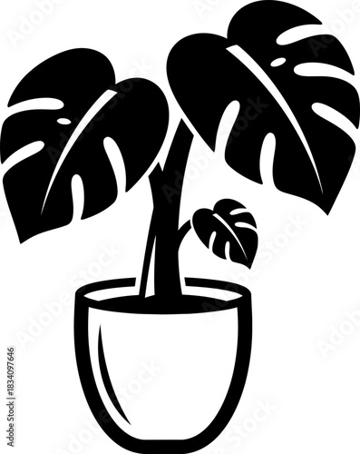 Potted monstera plant with large leaf, decorative home decor element. Black and white silhouette. Organic houseplant. Vector illustration for icon, symbol, logo, print
