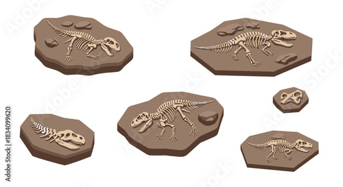 Dinosaur fossil bones on rocks in isometric style for educational and archeology themes