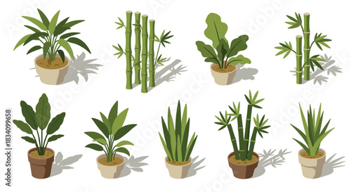 Isometric indoor plant collection with bamboo and decorative foliage in modern pots