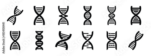 dna strand vector icon set and silhouette art isolated on white background