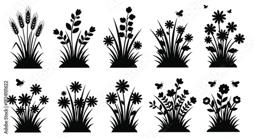 Collection of stylized black silhouettes of diverse wild grasses and flowers with flying insects